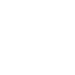 ringer icon